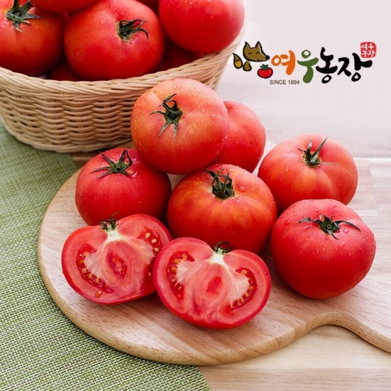 여우농장,유기농 토마토(특)5kg,10kg