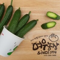 스낵오이(3kg)